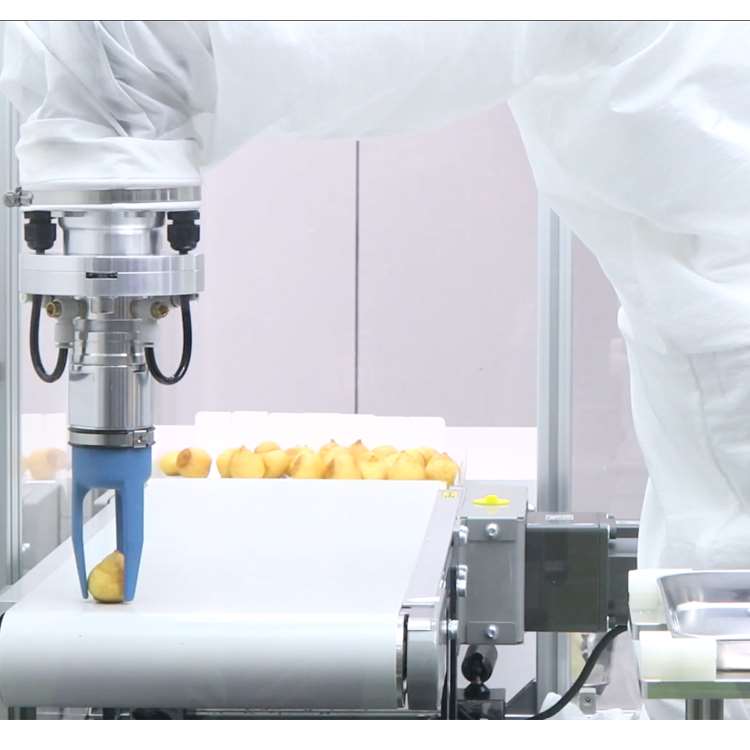 6-Achsen CNC-Roboterarm mit Li – Linear Rail Bewertung und Preis